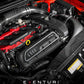Eventuri Carbon Fibre Intake System - Audi RS3 8V Gen 1 - Evolve Automotive